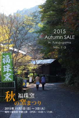 2015autumn_dm